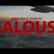 Jealousy Tiktok Version