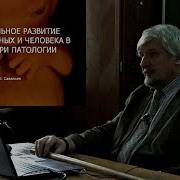 Лекции Савельев