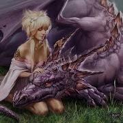 Сердце Дракона Книга 13