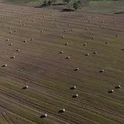 Гамаюн Лениград Минус