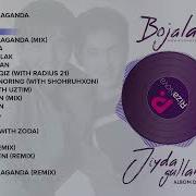 Божалар Гурухи Альбом