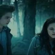 Сумерки Кровосися