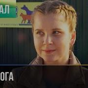 Недотрога