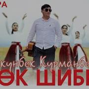 Кок Шибер Толкунбек