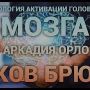 Активация Головногл Мозга Орлов