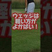 オリマー ウェッジ 重さ Weight