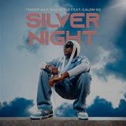 Silver Night Dj Fluger