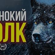 Одинокий Волк Сборник Песен