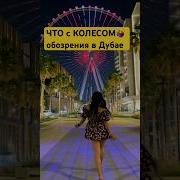 Судьа Калоси