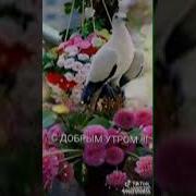 Салавотхои Точики