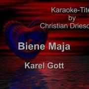 Die Biene Maja Karaoke
