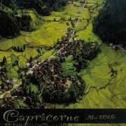 Zodiaque41 Capricorne