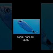 Толя С Дрелью Мем