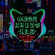 特别的爱给特别的你 Dj版