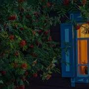 Жизнь Течет Торопится