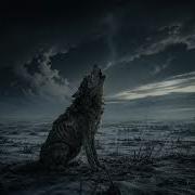 Вой Анатолий Гальковский