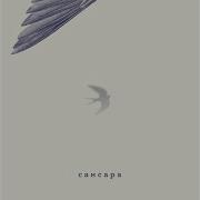 Сансара Ласточка