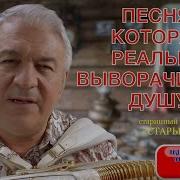 Старые Сосны Березы И Ели