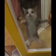 Хапи Хапи Хапи
