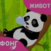 Пинкфонг Панда