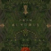 Sacred Stone Adam Alydrus