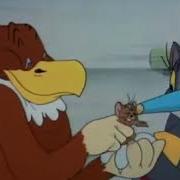Tom And Jerry Flirty Birdy
