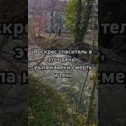 Воскрес Спаситель Этот День