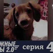 Дорожные Драмы 47