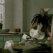 Counting Crows Accidentally In Love