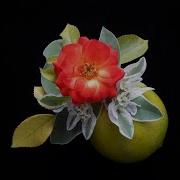 Бах Музыка Здоровья