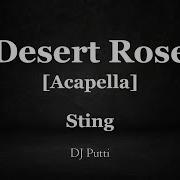 Sting Desert Rose Acapella