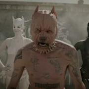 Pitbull Terrier Die Antwoord