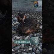 Кааках