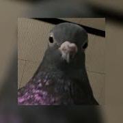 А Мы На Стиле Speed Up