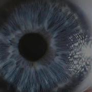 Peaceful Journey Path