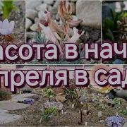 Надежда Щербакова