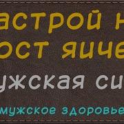 Сытин На Рост Мужского Органа