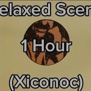 Relaxed Scene 1 Hour