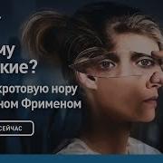 Сквозь Кротовую Нору