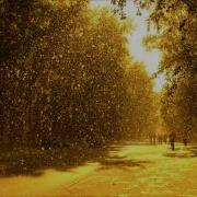 Тополиный Пух Nikara Remix