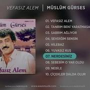 Nerdesiniz