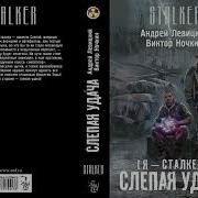 Сталкер Слепая Удача