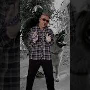 Дрык Бродяга Блатняк