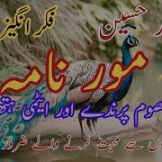 Morenama Intizar Hussain