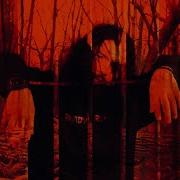 Come To Know 14 Alexander Pi