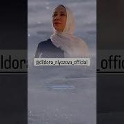 Кимдир Нолиб Яшар Хаетдан