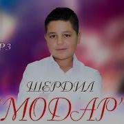 Шердил Модар
