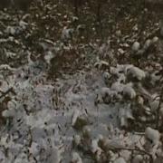 Варлам Шаламов