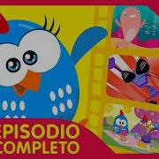 Gallina Pintadita Mini 4