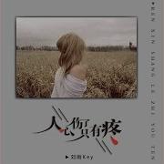 人心伤了只有疼 伴奏版